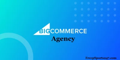 What is a BigCommerce Agency?