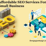 Affordable SEO Services For Small Business to Optimize Websites on a Small Budget?